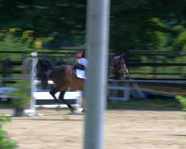 Reitturnier Coesfeld/Lette 2025