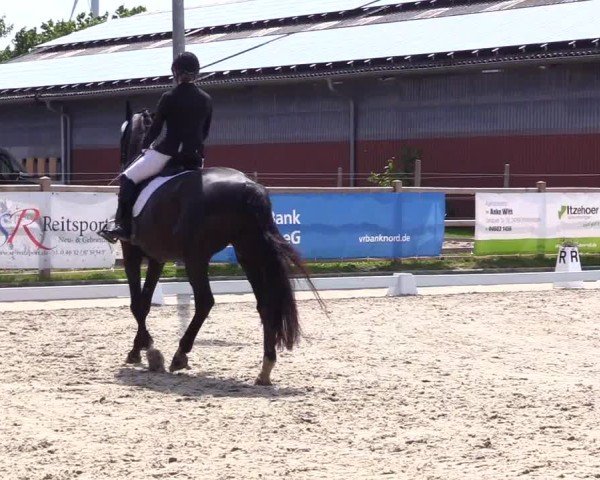 Reitturnier Sörup Dressurturnier 2025