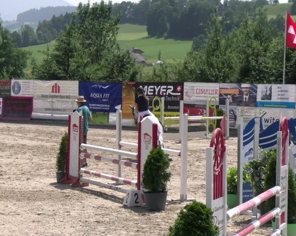 Reitturnier Ruswil 2025