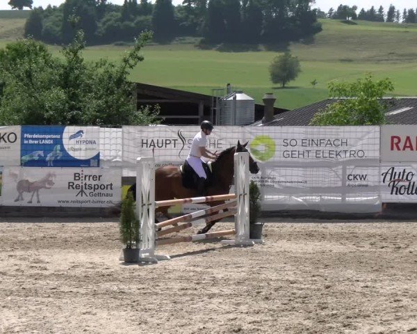 Reitturnier Ruswil 2025