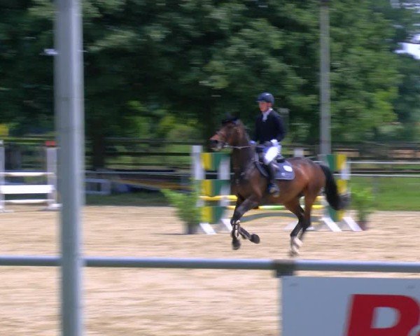 Reitturnier Coesfeld/Lette 2025