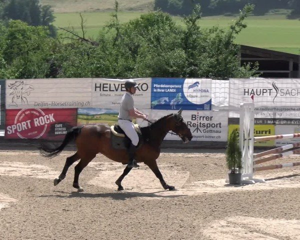 Reitturnier Ruswil 2025