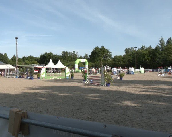 Reitturnier Großenwiehe 2025