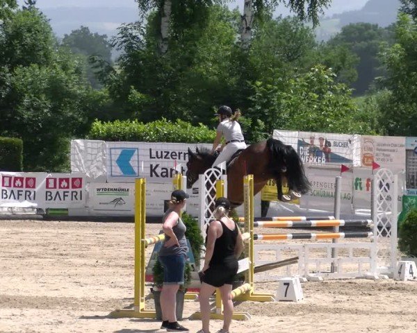 Reitturnier Ruswil 2025
