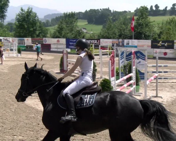 Reitturnier Ruswil 2025