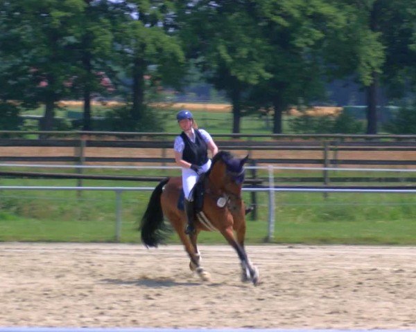 Reitturnier Coesfeld/Lette 2025