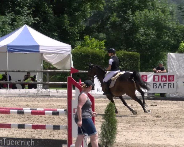 Reitturnier Ruswil 2025