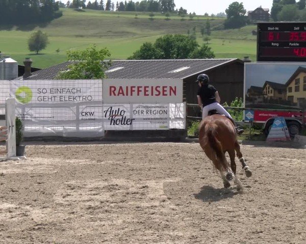 Reitturnier Ruswil 2025