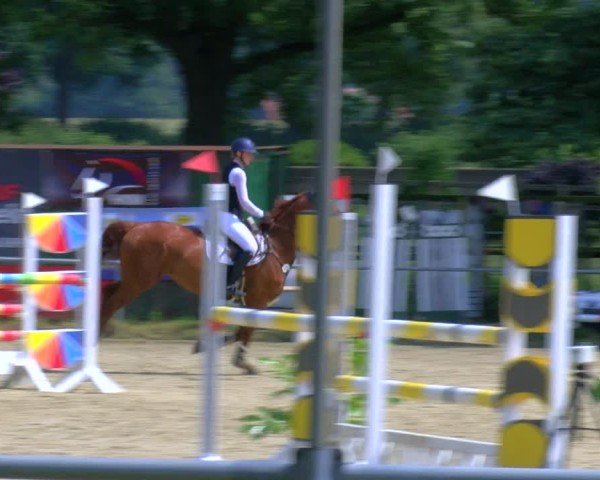 Reitturnier Coesfeld/Lette 2025