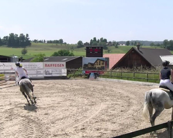 Reitturnier Ruswil 2025