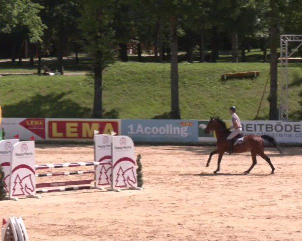 Reitturnier Stadl-Paura 2025