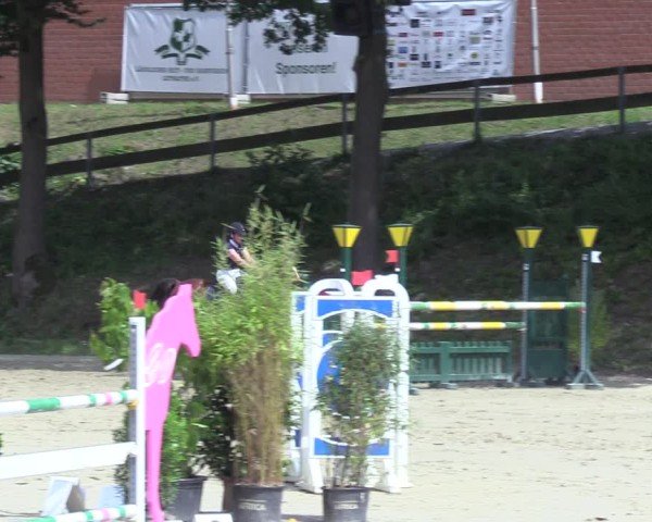 Reitturnier Letmathe 2025