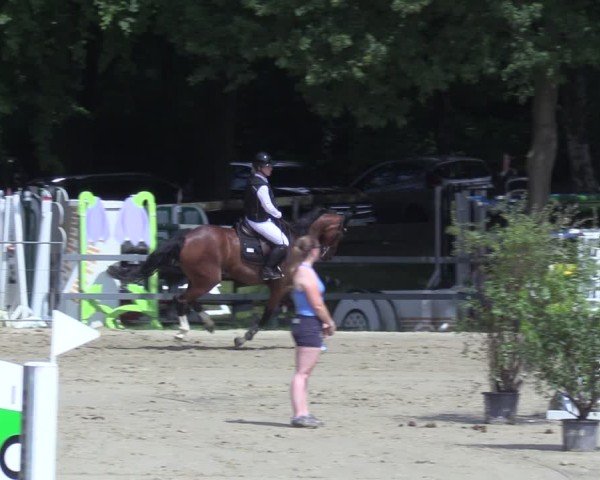 Reitturnier Letmathe 2025