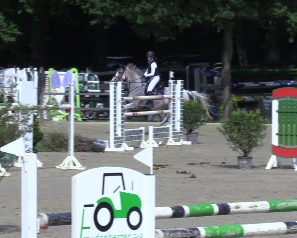 Reitturnier Letmathe 2025