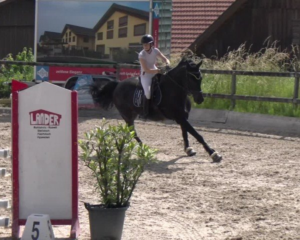 Reitturnier Ruswil 2025