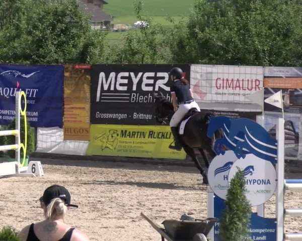 Reitturnier Ruswil 2025