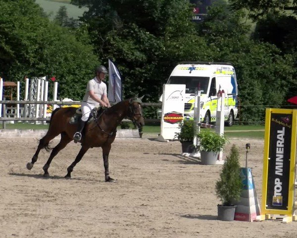 Reitturnier Ruswil 2025