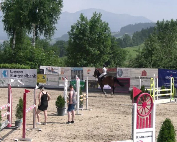 Reitturnier Ruswil 2025