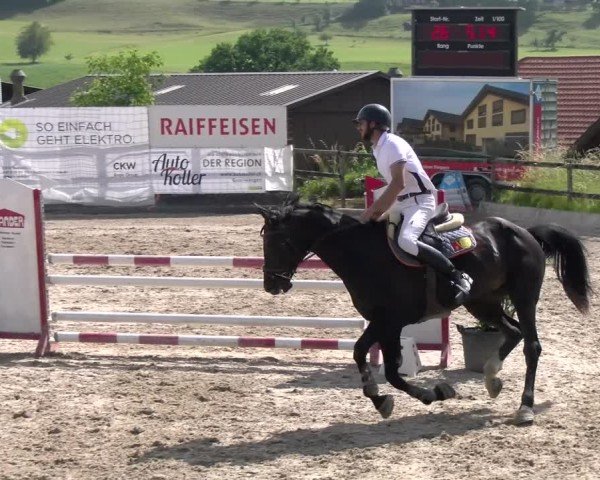 Reitturnier Ruswil 2025