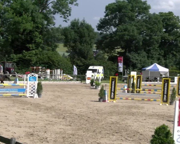 Reitturnier Ruswil 2025