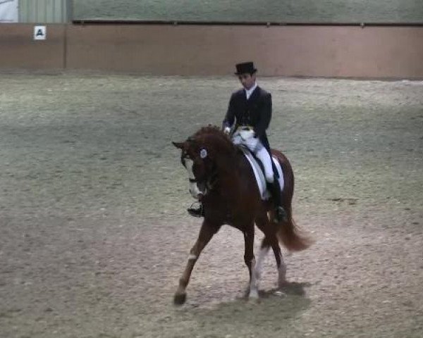 Bonn - Gut Ettenhausen 2014