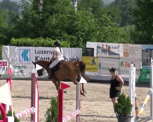 Reitturnier Ruswil 2025