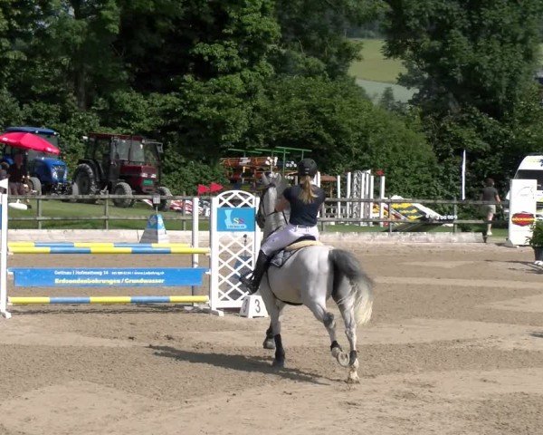 Reitturnier Ruswil 2025
