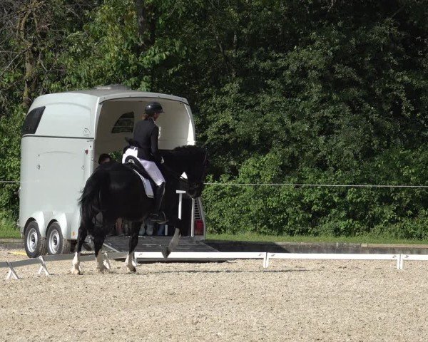 Reitturnier Maienfeld 2025