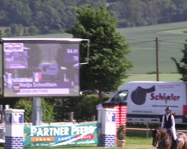 Reitturnier Wingerode 2025
