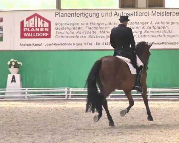 Walldorf 2014