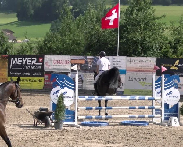 Reitturnier Ruswil 2025