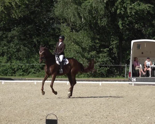 Reitturnier Maienfeld 2025