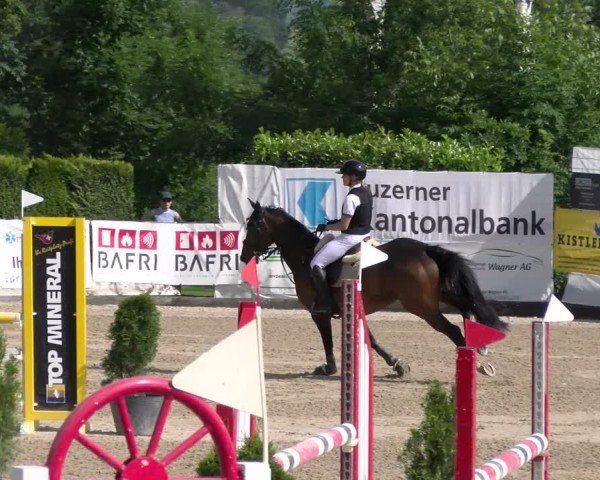 Reitturnier Ruswil 2025