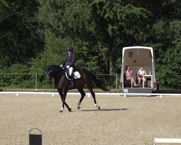 Reitturnier Maienfeld 2025