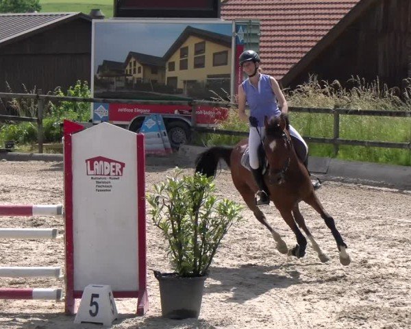 Reitturnier Ruswil 2025