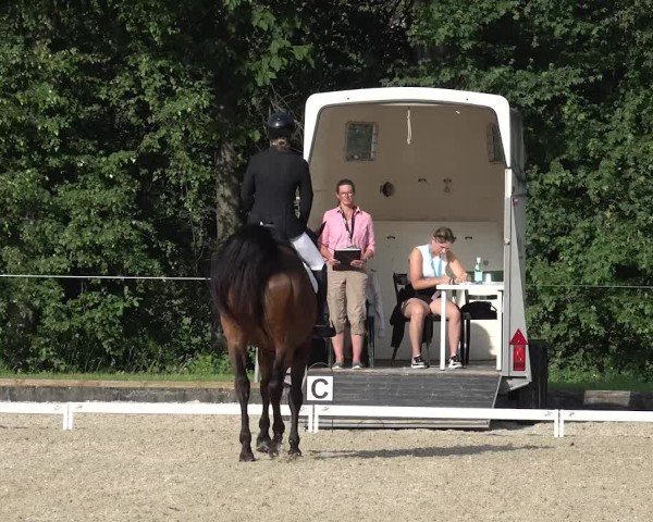 Reitturnier Maienfeld 2025
