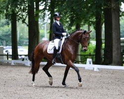 Dressurpferd Sympathie 62 (Oldenburger, 2018, von Sensation)