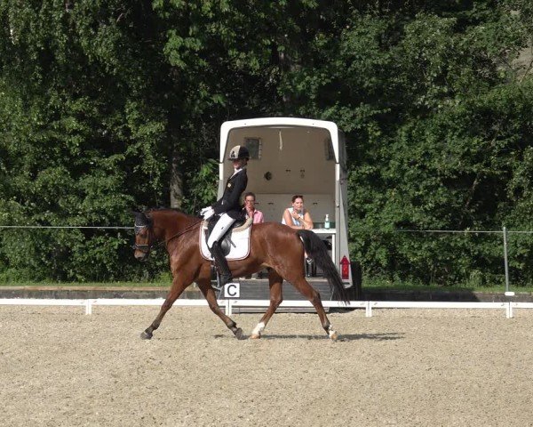 Reitturnier Maienfeld 2025