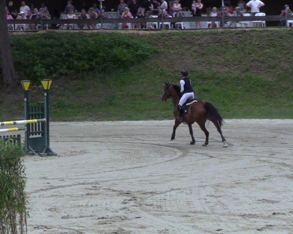Reitturnier Letmathe 2025