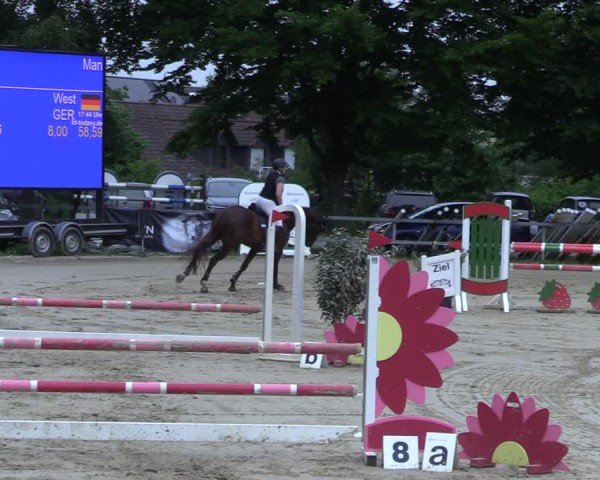Reitturnier Letmathe 2025