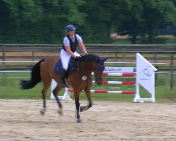 Reitturnier Coesfeld/Lette 2025