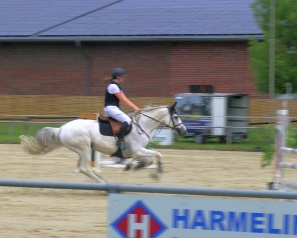 Reitturnier Coesfeld/Lette 2025