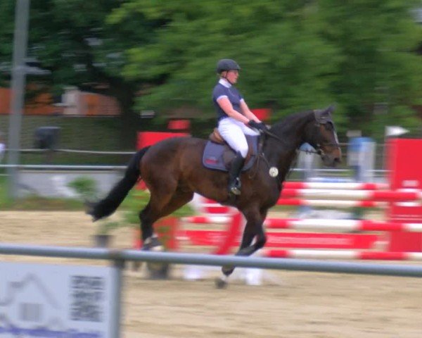 Reitturnier Coesfeld/Lette 2025