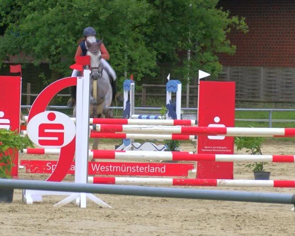 Reitturnier Coesfeld/Lette 2025
