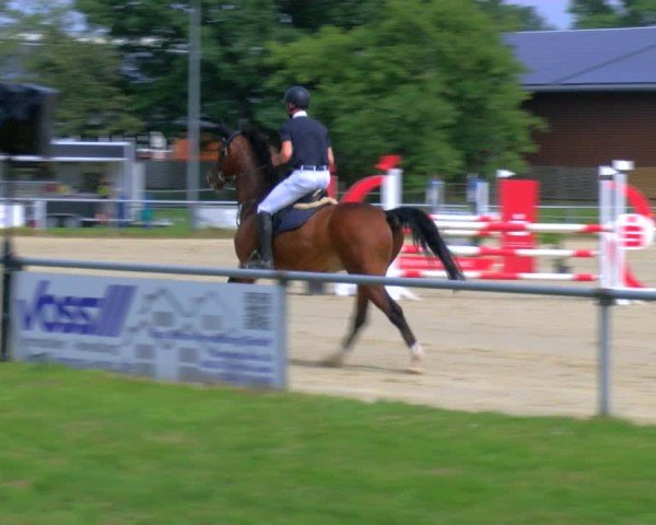 Reitturnier Coesfeld/Lette 2025
