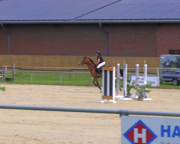 Reitturnier Coesfeld/Lette 2025