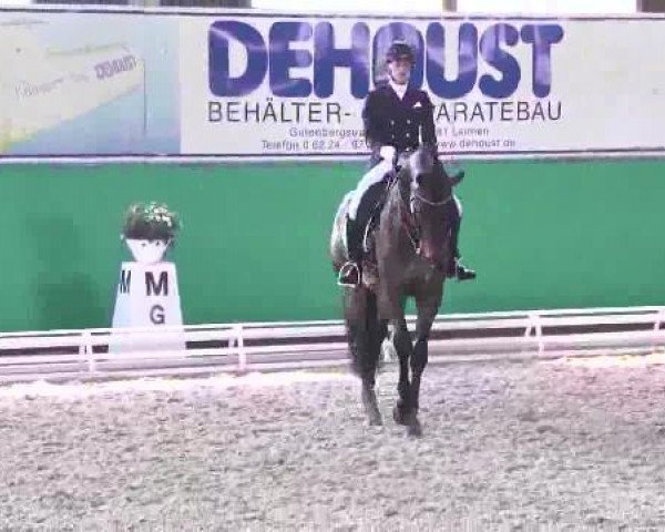 Walldorf 2014