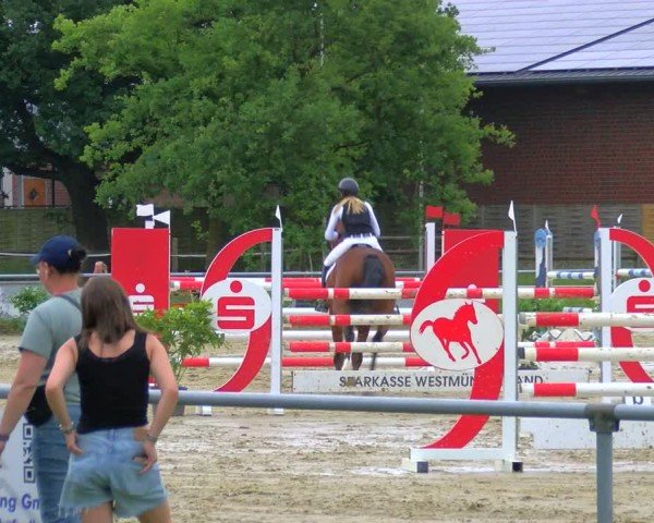 Reitturnier Coesfeld/Lette 2025
