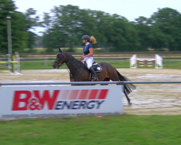 Reitturnier Coesfeld/Lette 2025