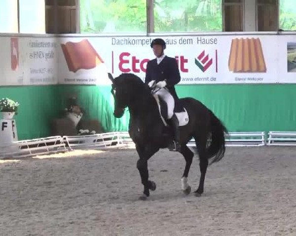 Walldorf 2014